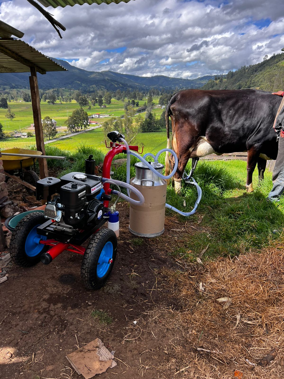 2 LLANTAS O RUEDAS NEUMÁTICAS - 8 Pulgadas para Equipo de Ordeño
