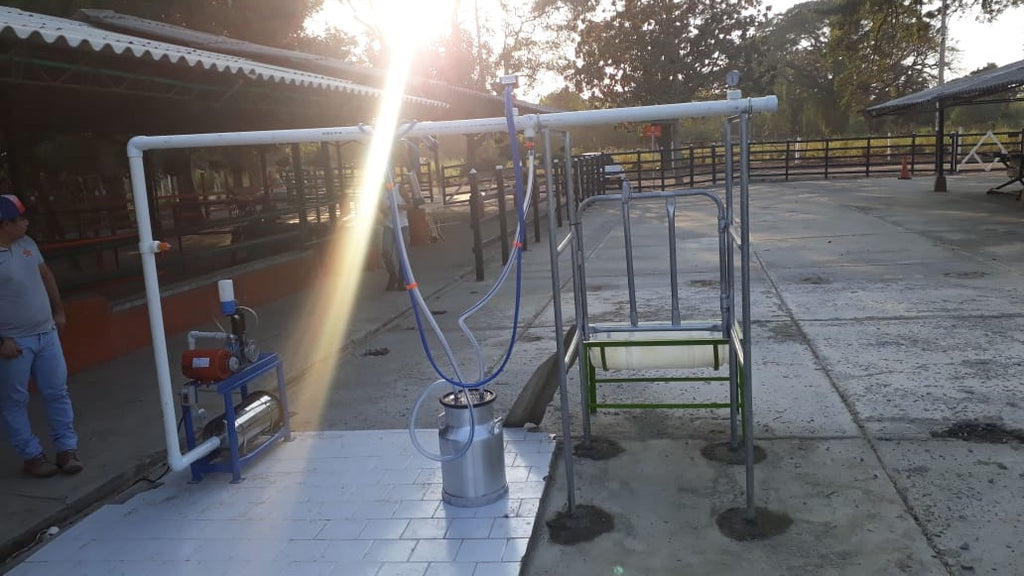 Establo de Ordeño Galvanizado Fijo para vacas desde 1 puesto