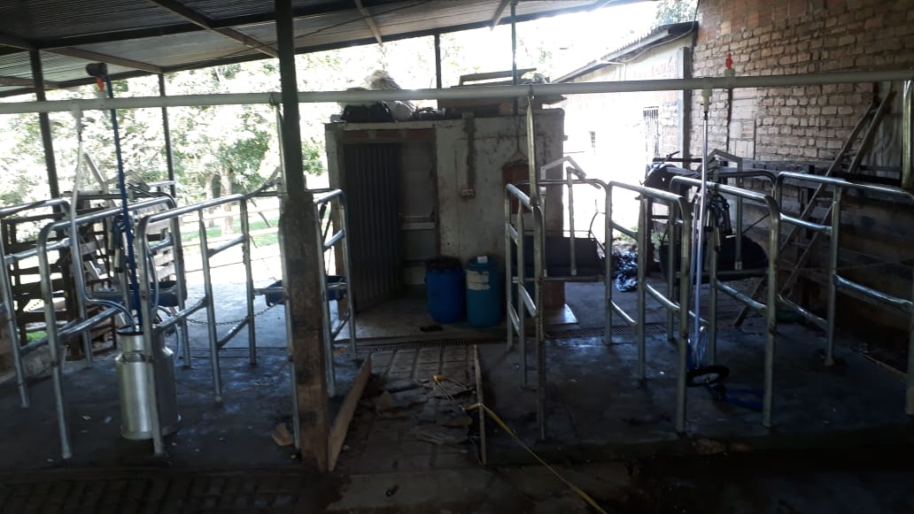 Establo de Ordeño Galvanizado Fijo para vacas desde 1 puesto