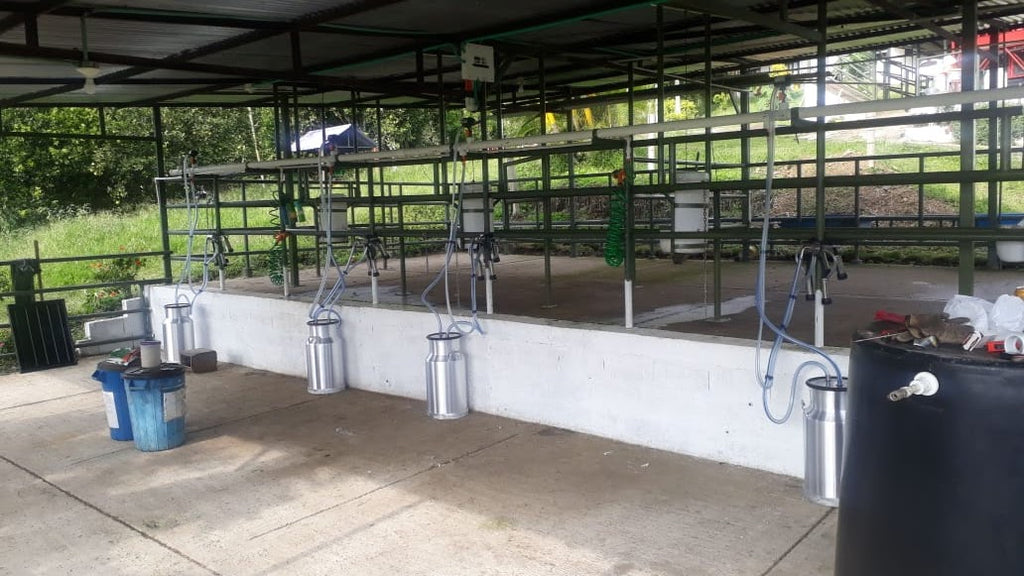 Equipo de Ordeño Fijo para Vacas 🐄🐄🐄 + OBSEQUIOS + PAGUE AL RECIBIR 🚚