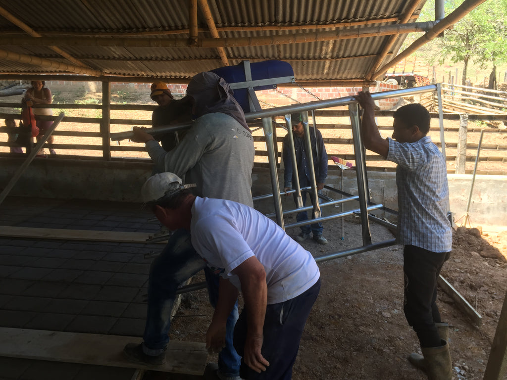 Establo de Ordeño Galvanizado Fijo para vacas desde 1 puesto