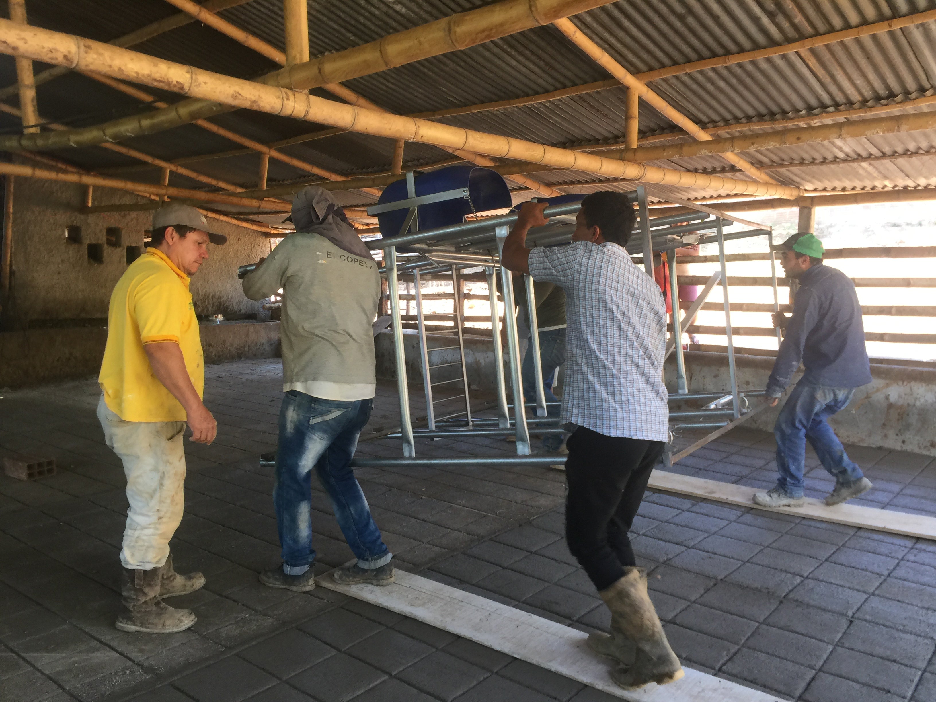 Establo de Ordeño Galvanizado Fijo para vacas desde 1 puesto