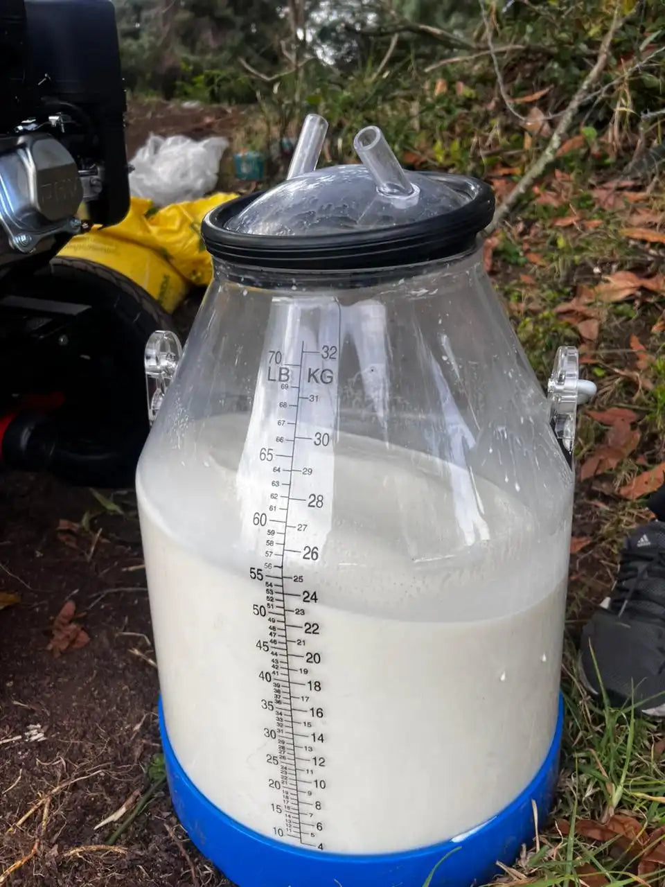 Cantina Lechera de 32lts Transparente con Medición + ENVIO GRATIS + PAGUE AL RECIBIR 🚚