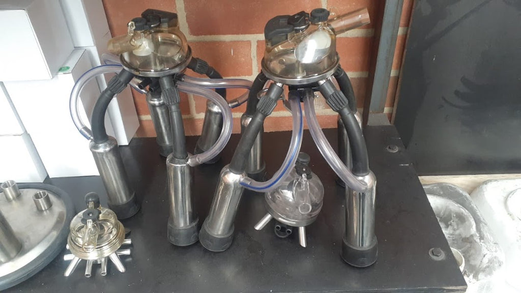 Colector de ordeño Classic 300 para vacas adaptable a Westfalia + ENVIO GRATIS 🚚