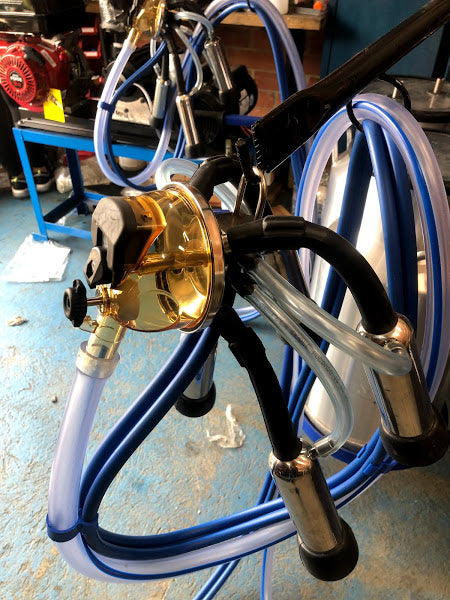 Colector de ordeño Classic 300 para vacas adaptable a Westfalia + ENVIO GRATIS 🚚