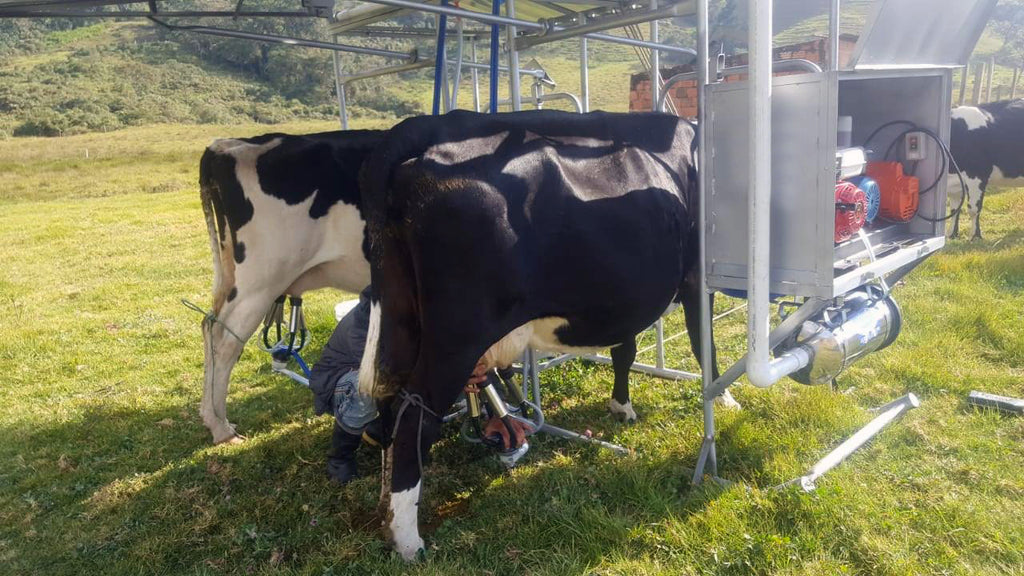 Establo de Ordeño Portátil Galvanizado con comederos, teja y cajón de 1 puesto