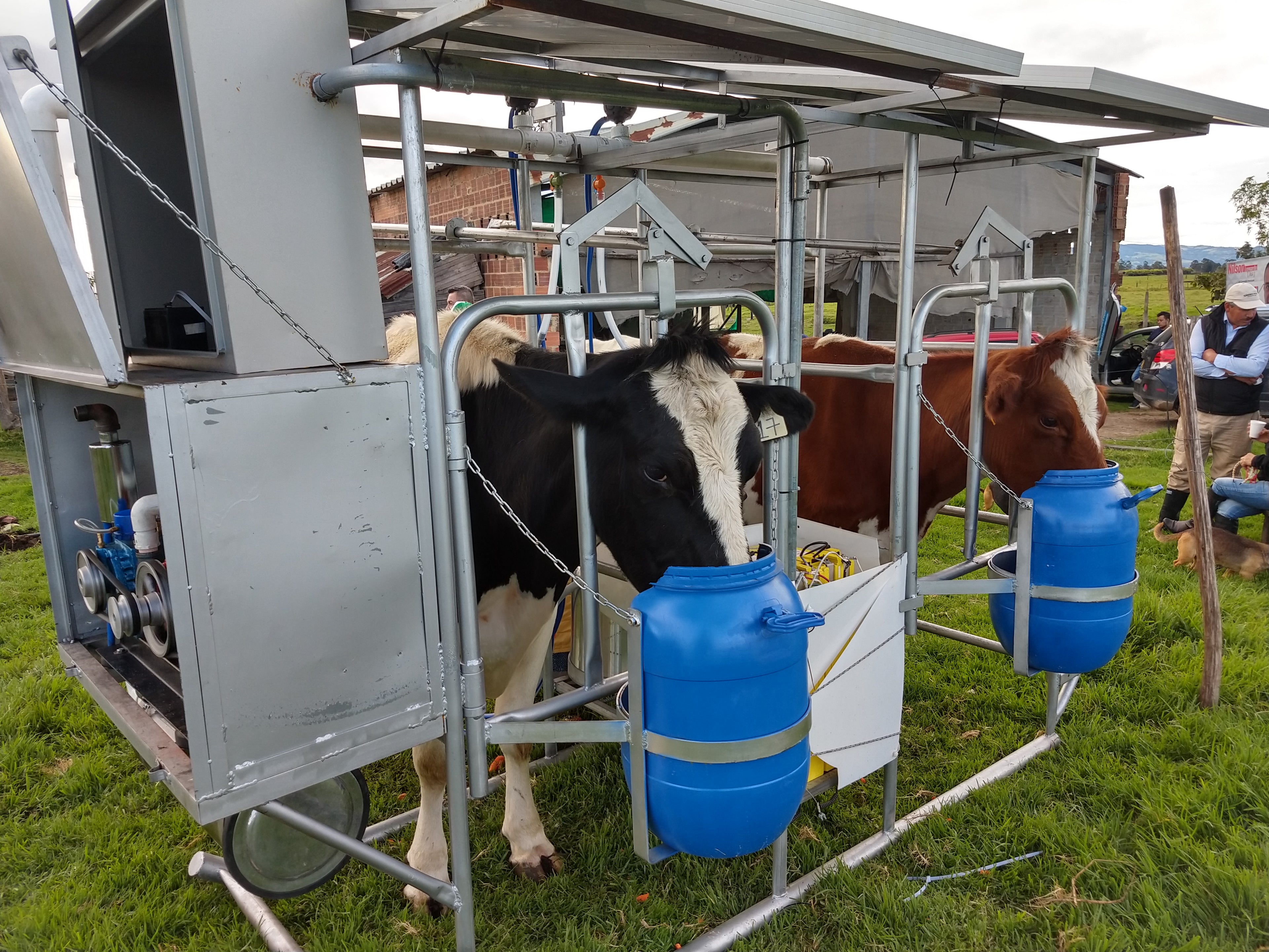 Establo de Ordeño Portátil Galvanizado con comederos, teja y cajón de 1 puesto