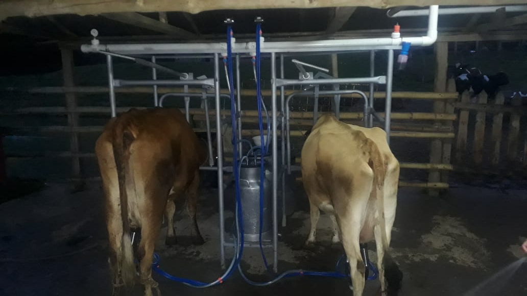 Establo de Ordeño Galvanizado Fijo para vacas desde 1 puesto