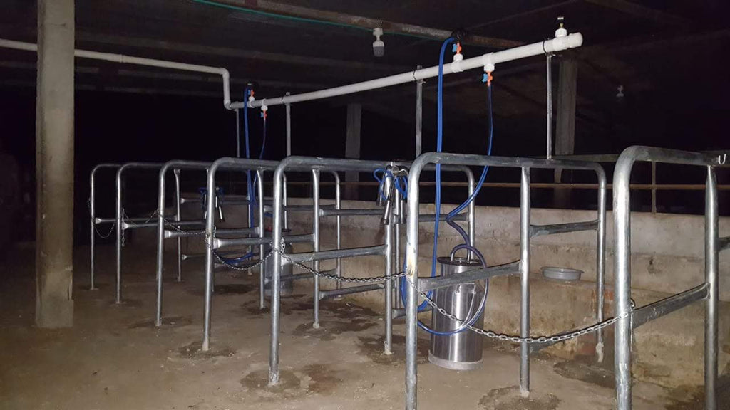 Establo de Ordeño Galvanizado Fijo para vacas desde 1 puesto