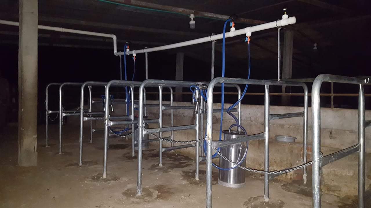 Establo de Ordeño Galvanizado Fijo para vacas desde 1 puesto